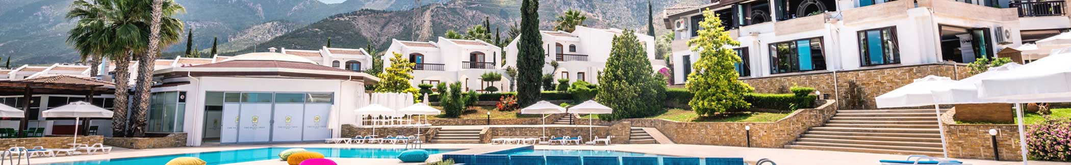 The Olive Tree Hotel